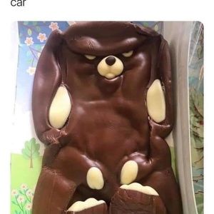 Meet your Posher, Martha